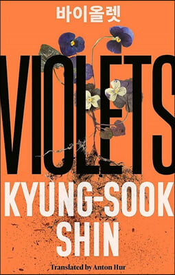 Violets (Paperback)