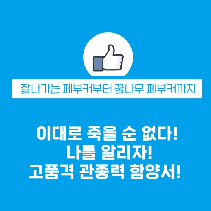 카드뉴스9