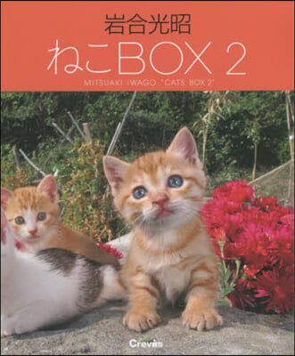 岩合光昭 ねこBOX   2