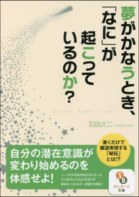 夢がかなうとき,「なに」が起こっているのか?  