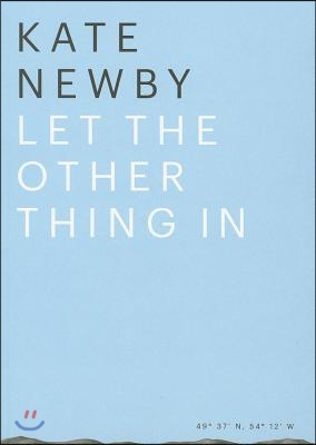 Kate Newby: Let the Other Thing in