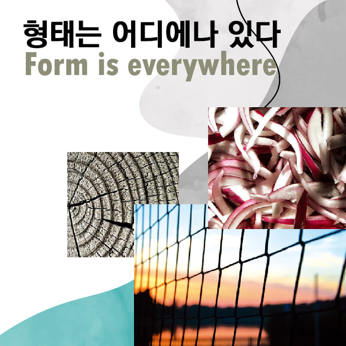 카드뉴스