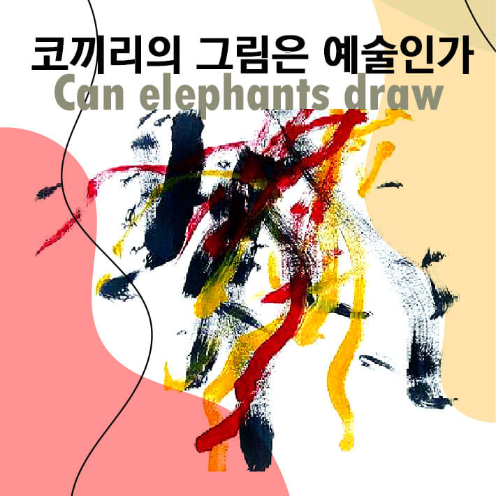 카드뉴스
