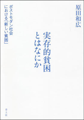 實存的貧困とはなにか