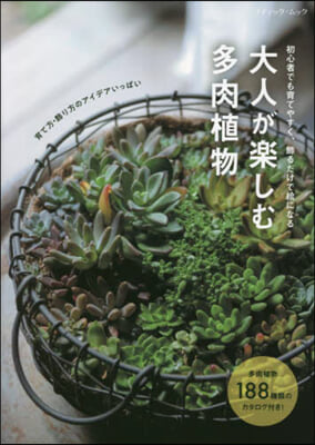 大人が樂しむ多肉植物 初心者でも育てやす