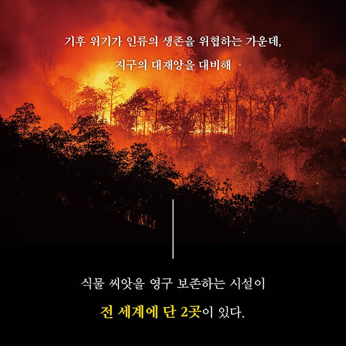 카드뉴스1