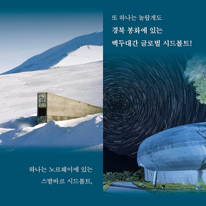 카드뉴스2