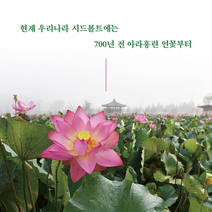 카드뉴스3