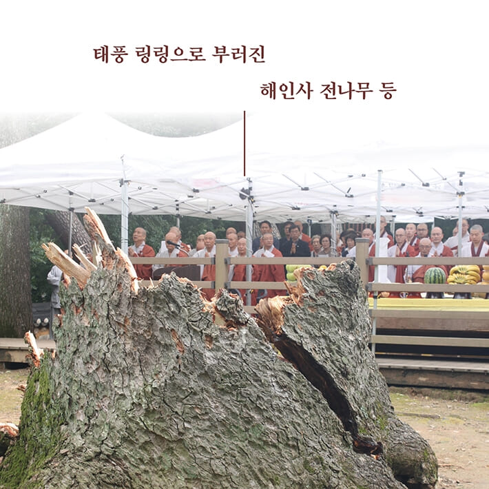 카드뉴스4