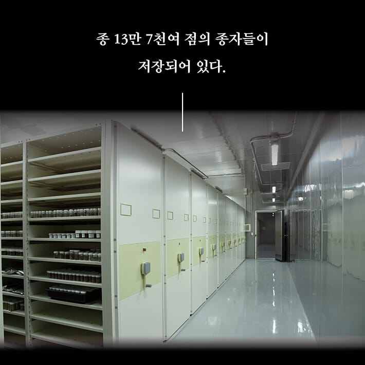 카드뉴스5