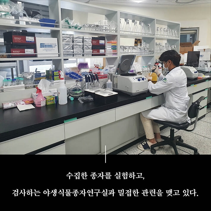카드뉴스8