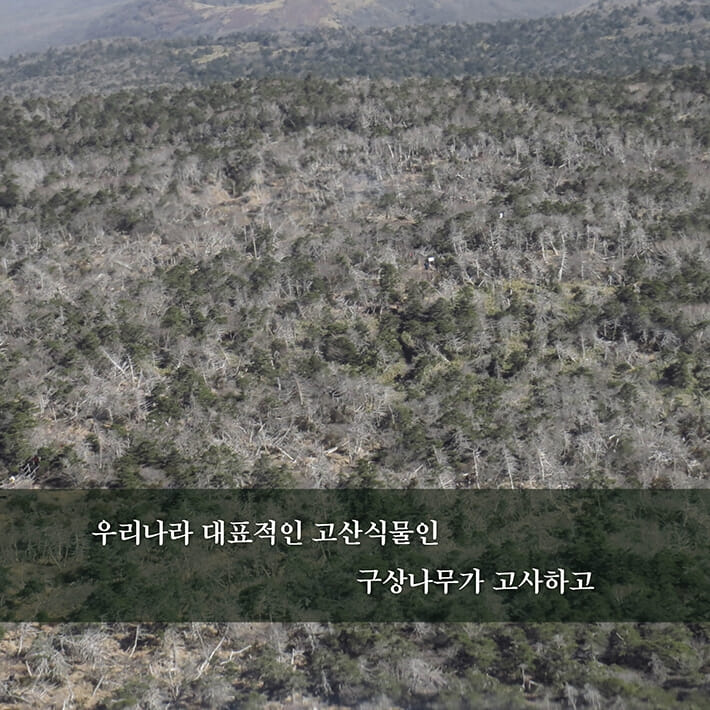 카드뉴스9