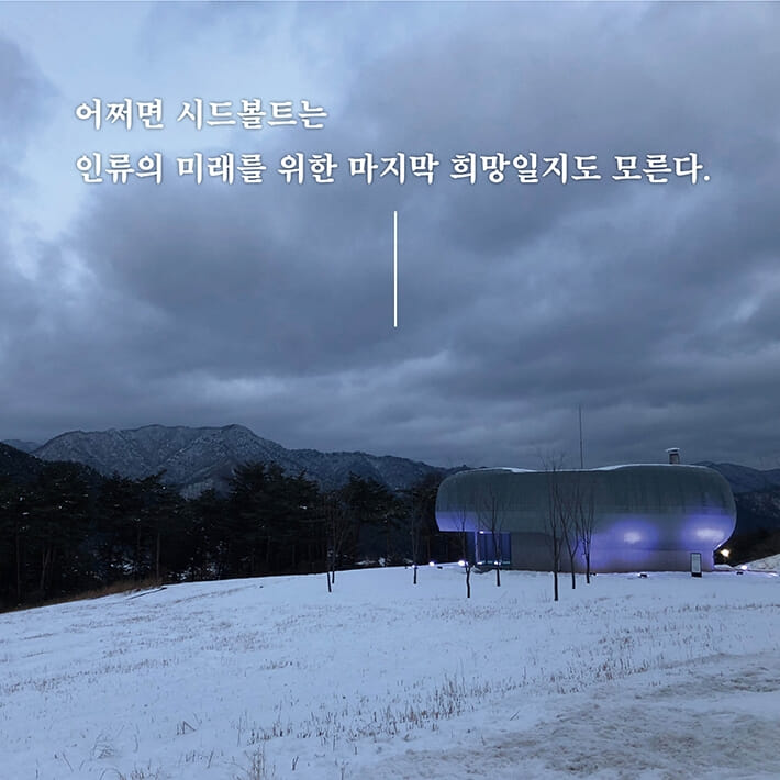 카드뉴스11