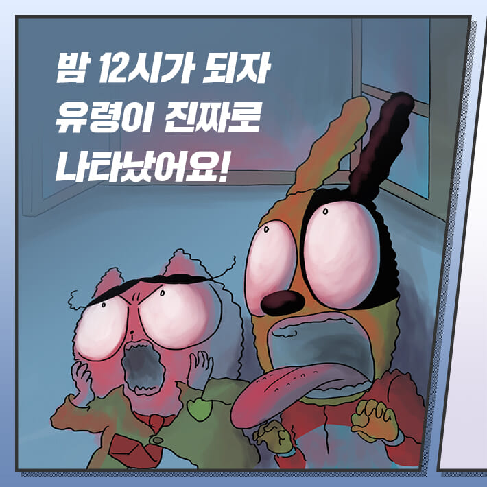 카드뉴스5