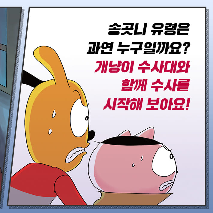 카드뉴스6