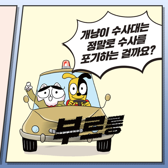 카드뉴스9