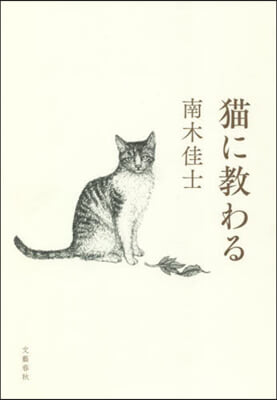 猫に敎わる