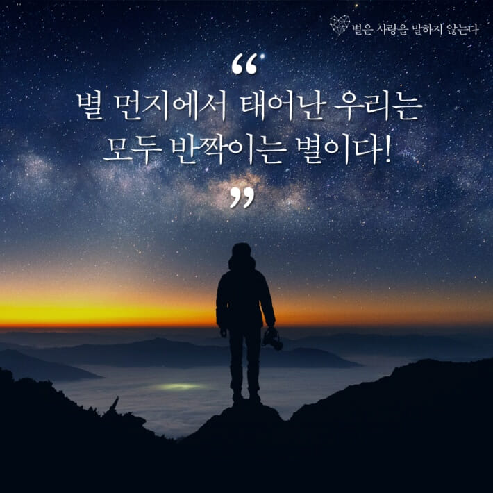 카드뉴스8