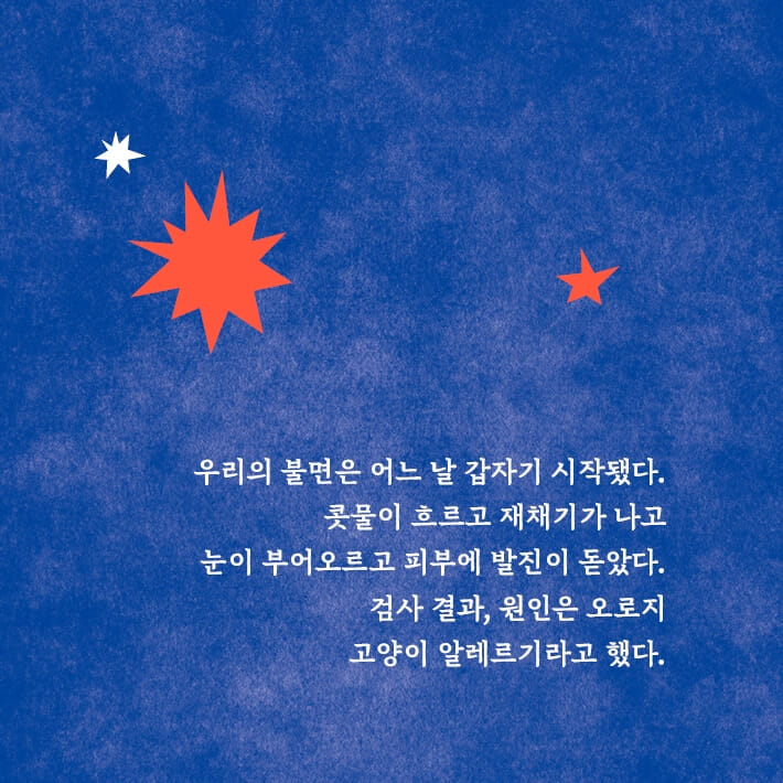 카드뉴스2