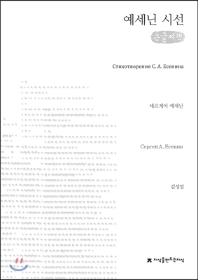 예세닌 시선 (큰글씨책)