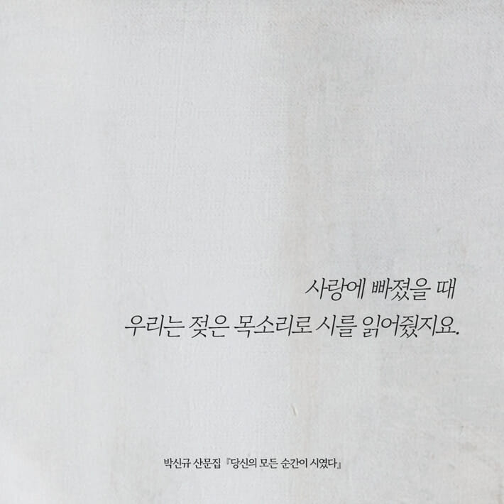 카드뉴스2