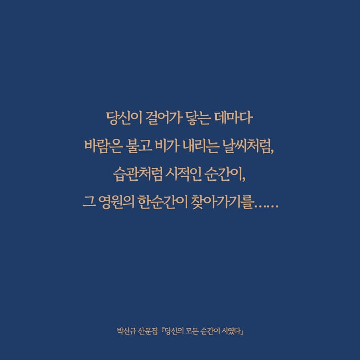 카드뉴스8