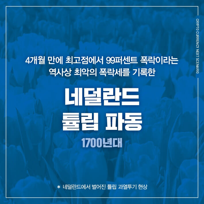 카드뉴스6