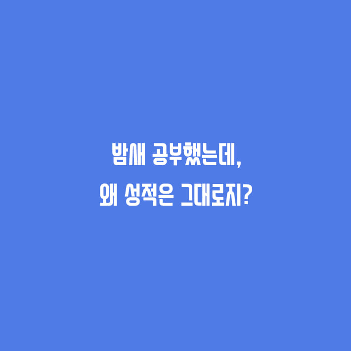 카드뉴스1
