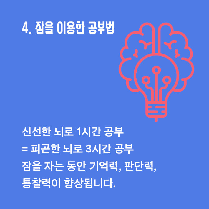 카드뉴스12