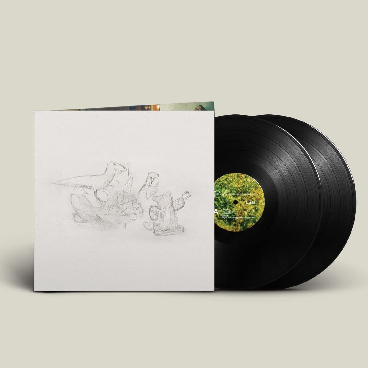 Big Thief (빅 씨프) - 5집 Dragon New Warm Mountain I Believe In You [2LP] 