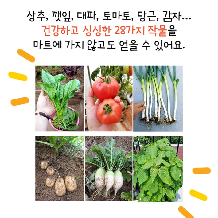 카드뉴스8