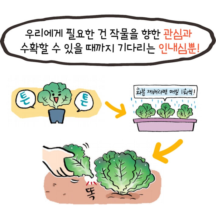 카드뉴스9