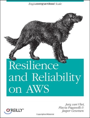 Resilience and Reliability on AWS