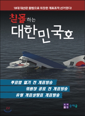 침몰하는 대한민국 호