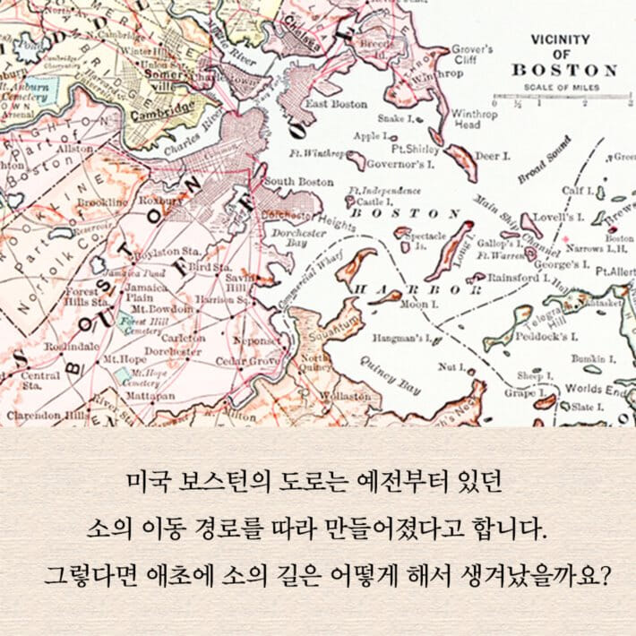 카드뉴스2