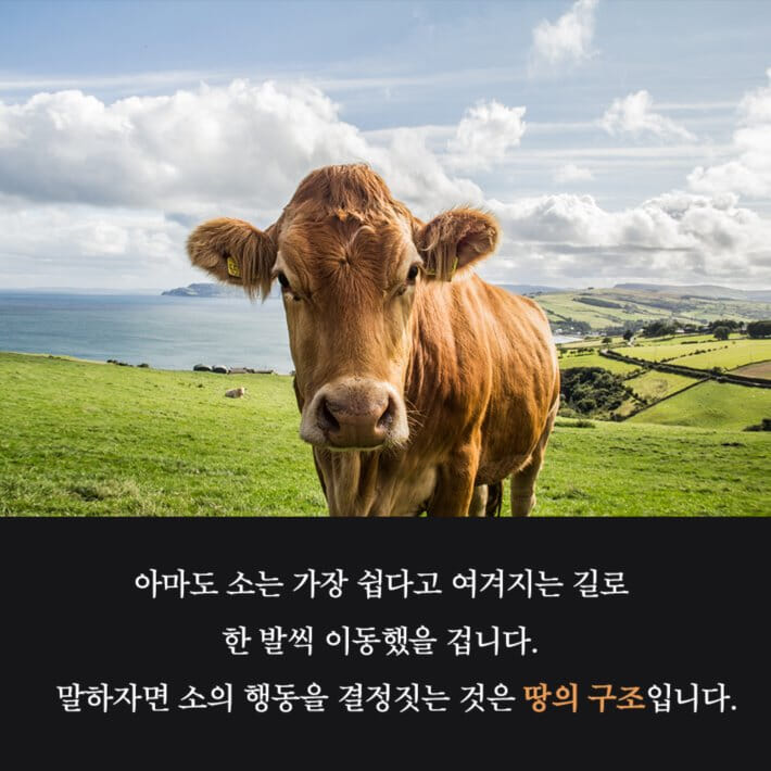 카드뉴스3