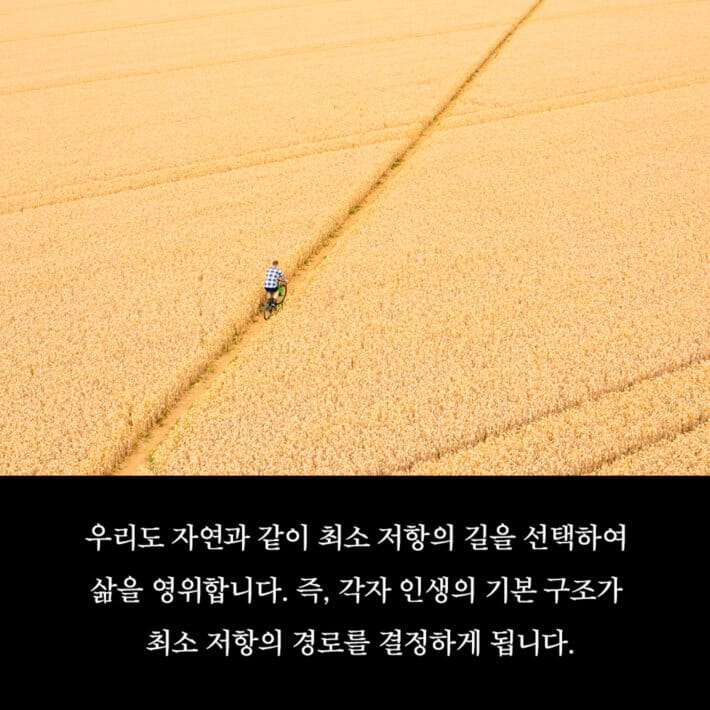 카드뉴스6