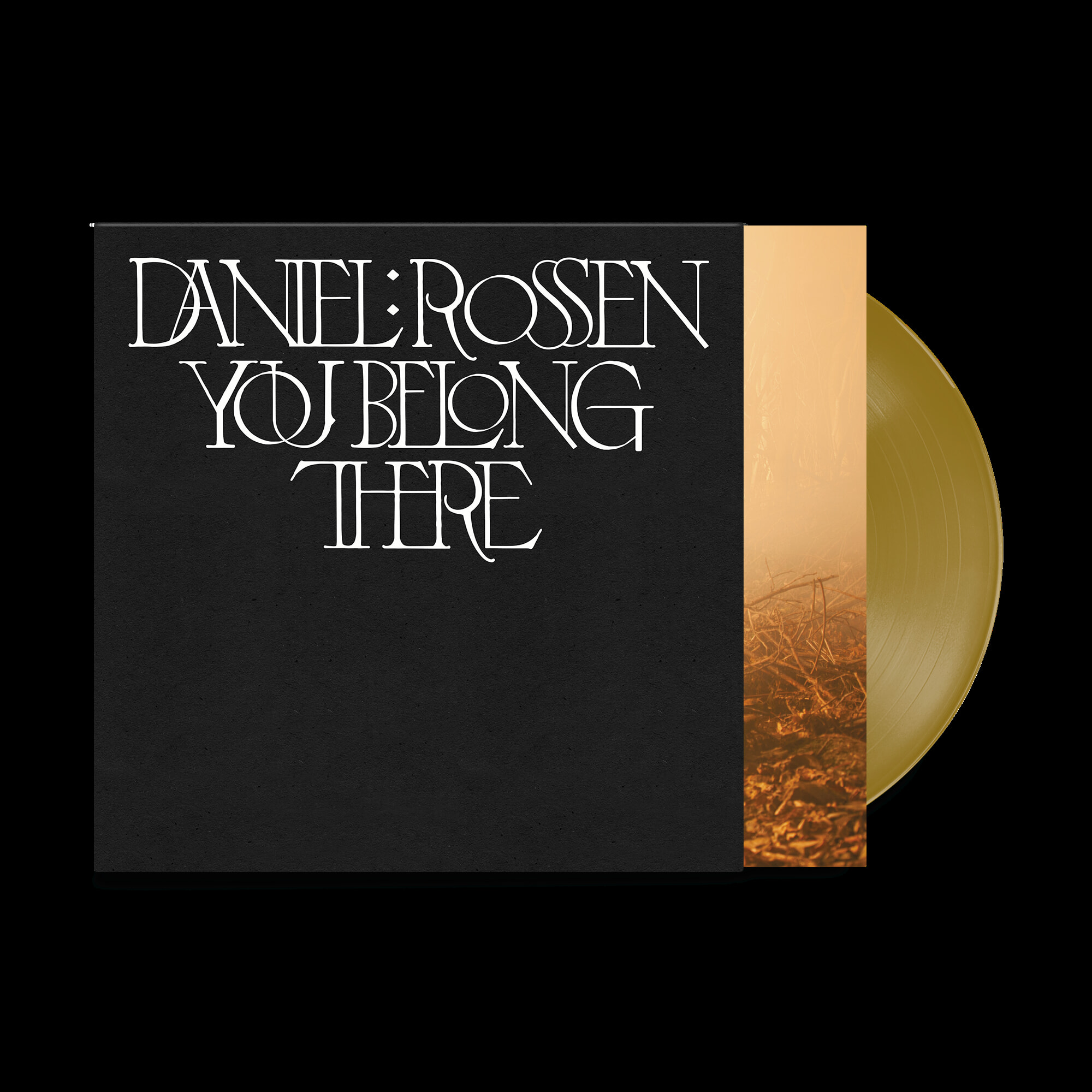 Daniel Rossen (다니엘 러슨) - You Belong There [골드 컬러 LP] 