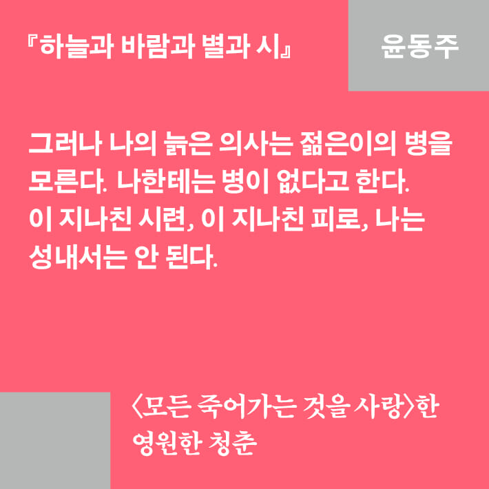 카드뉴스11