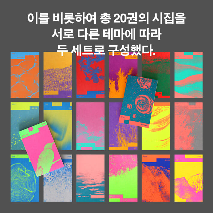 카드뉴스12