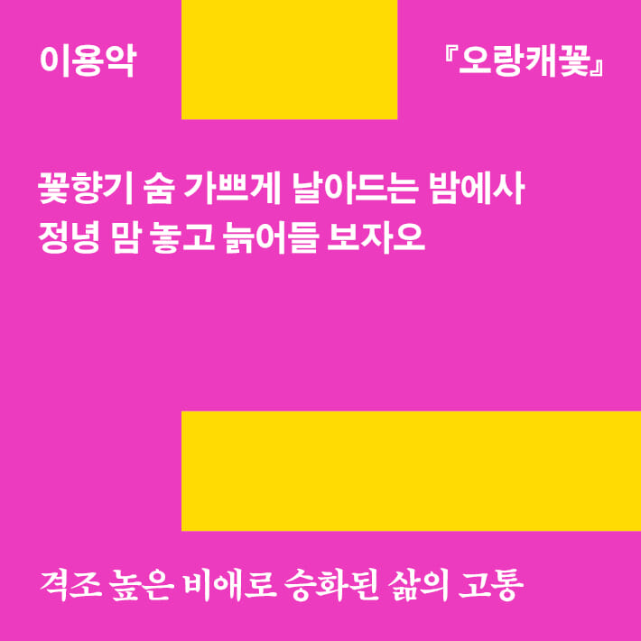 카드뉴스10