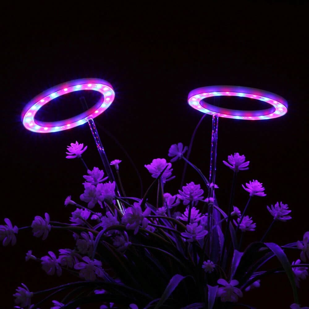 엔젤링 화분 LED 식물등(2헤드) (레드+블루) 식물조명