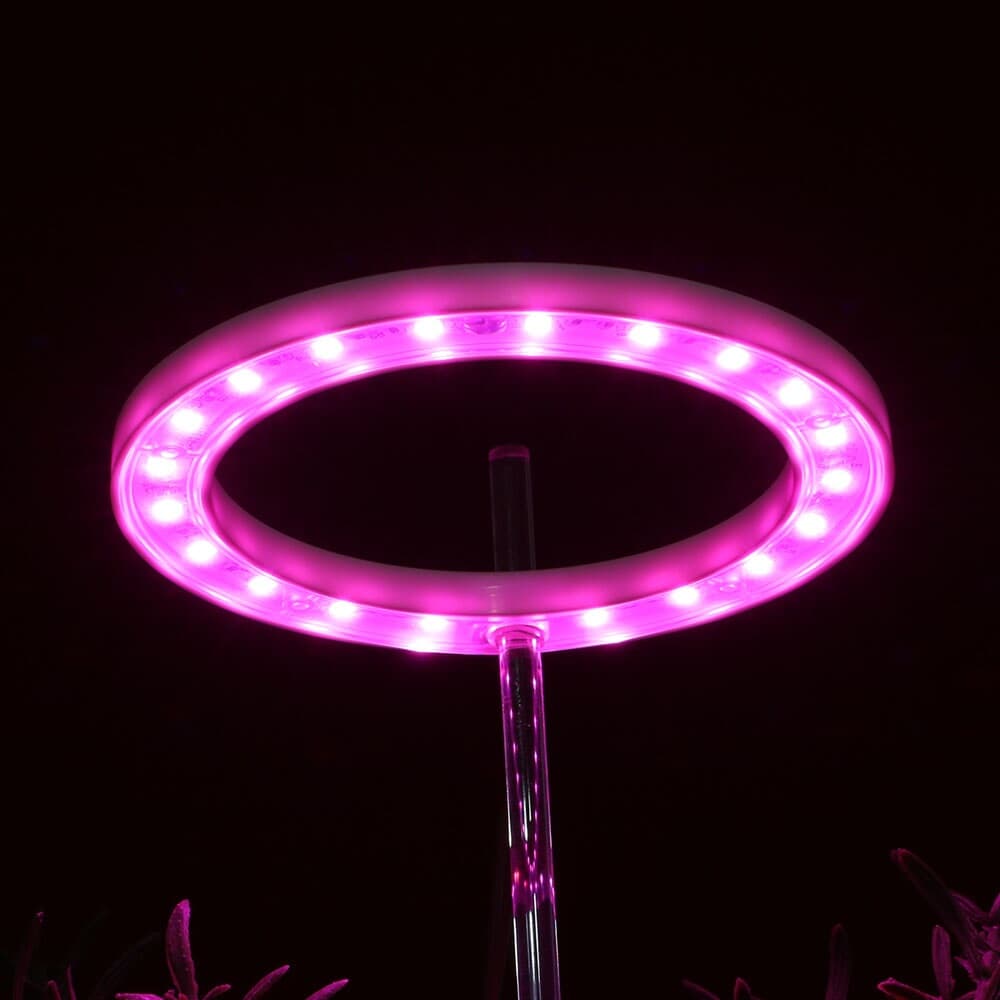 엔젤링 화분 LED 식물등(헤드형) (핑크) 식물조명