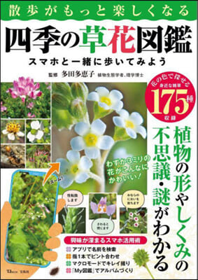 散步がもっと樂しくなる四季の草花圖鑑