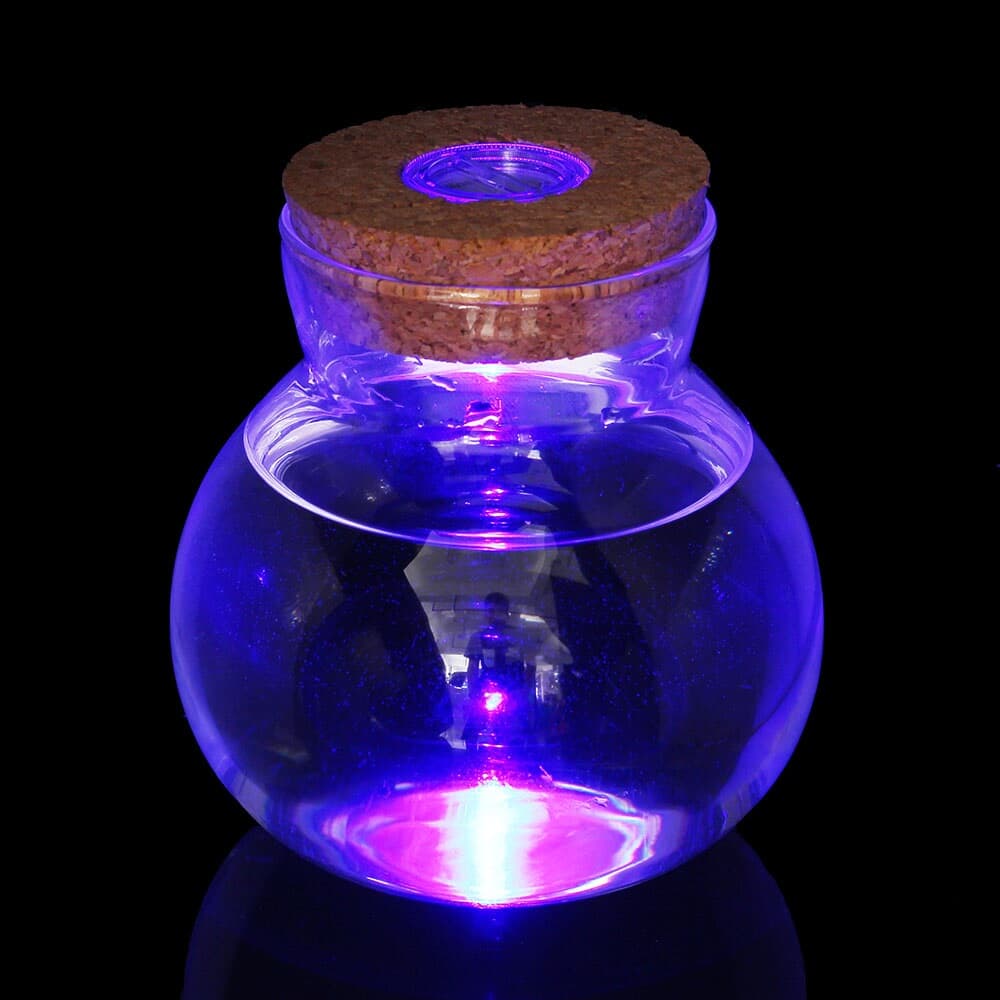 마리모 키우기 LED 유리병 수경 반려식물 유리공병