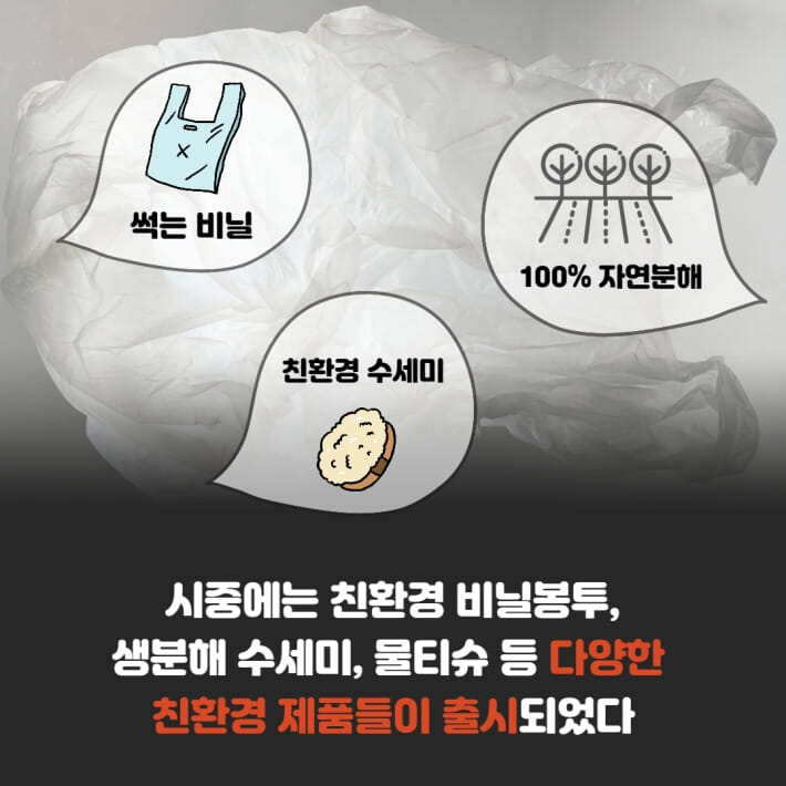 카드뉴스3