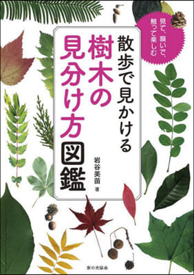 散步で見かける 樹木の見分け方圖鑑