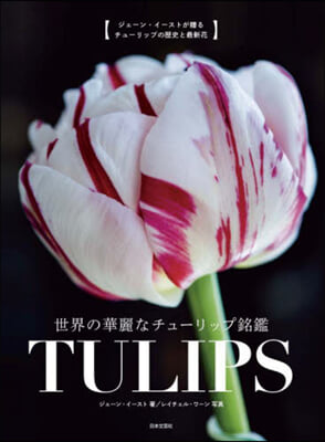 世界の華麗なチュ-リップ銘鑑 TULIPS