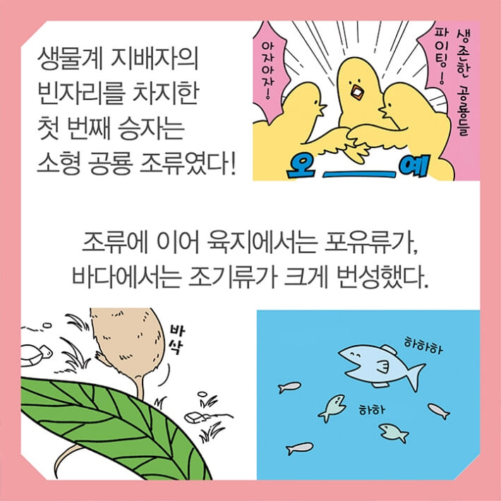 카드뉴스