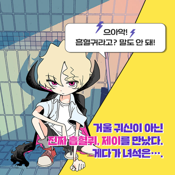 카드뉴스2